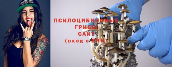 мяу мяу мука Белокуриха