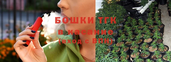 мяу мяу мука Белокуриха