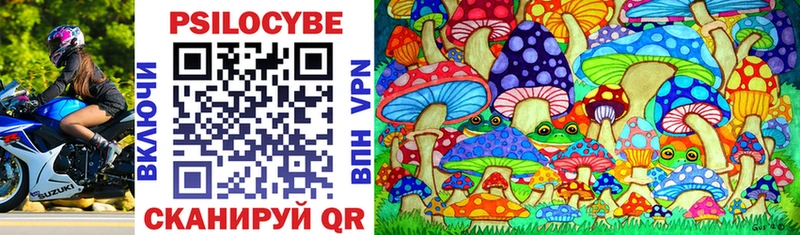Псилоцибиновые грибы Psilocybe  Очёр 